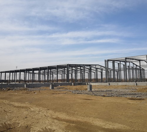 Single layer continuous span portal steel frame